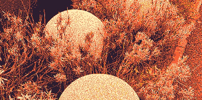 Dithered wildlife artwork rendered in a warm orange palette.