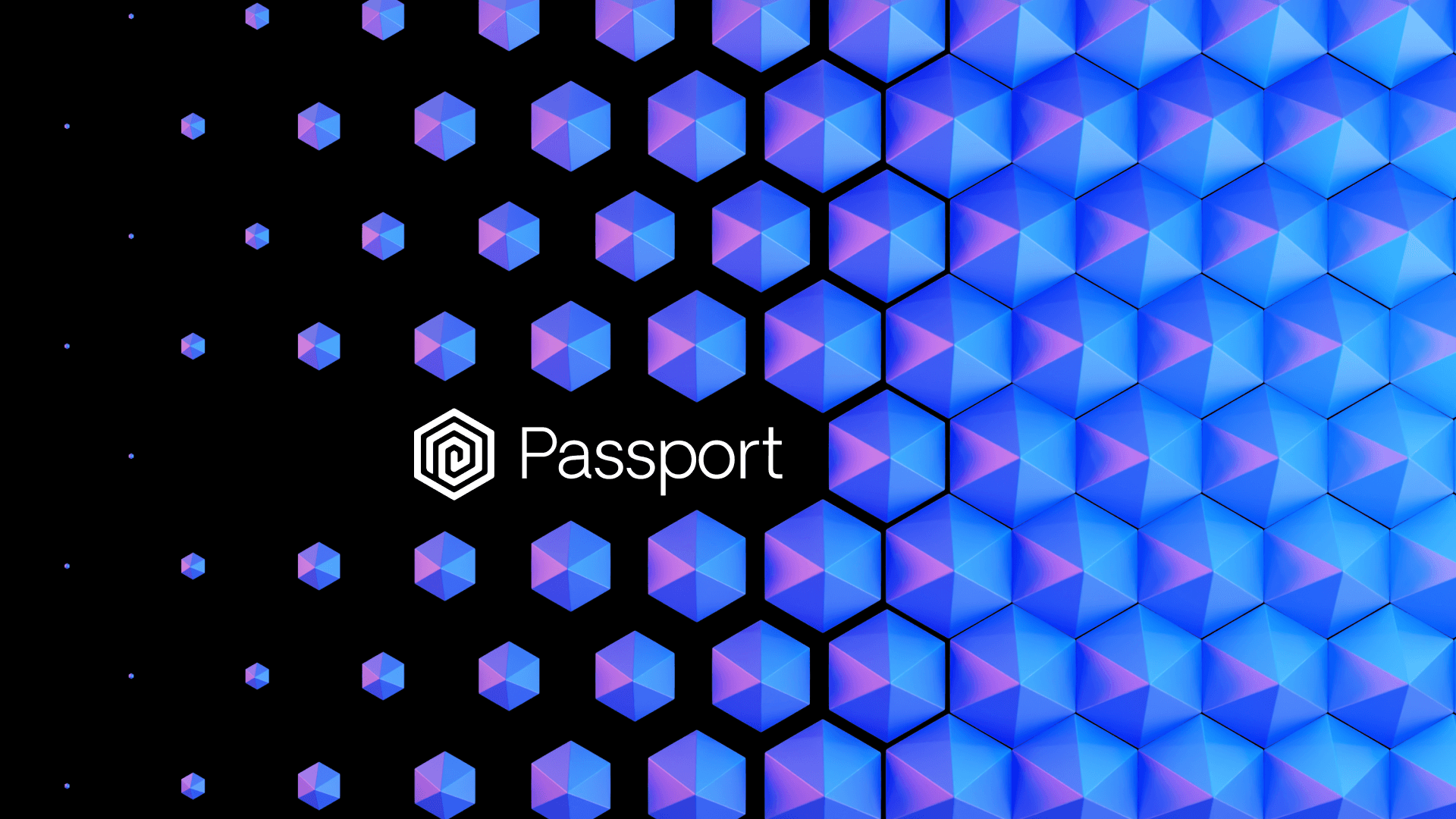 Passport identity interface
